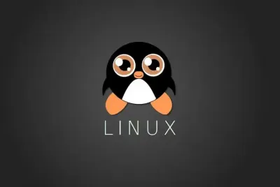 Linux 入门指南
